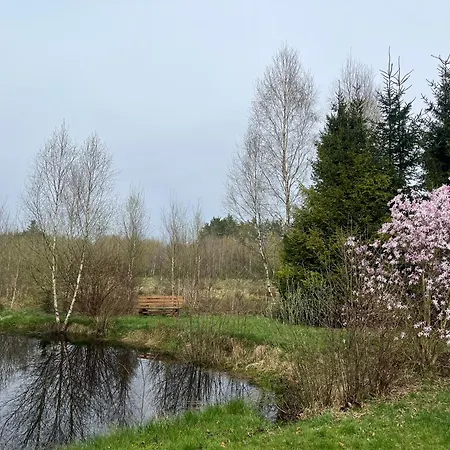 別荘 Drewniany Dom W Borach Tucholskich 