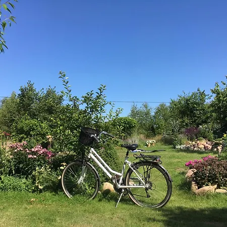 Drewniany Dom W Borach Tucholskich 