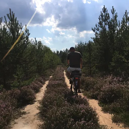 Drewniany Dom W Borach Tucholskich 