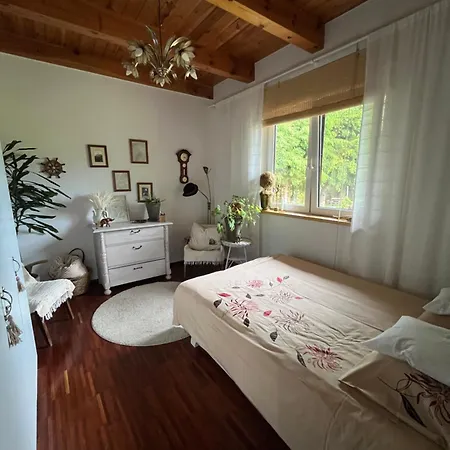 Drewniany Dom W Borach Tucholskich 