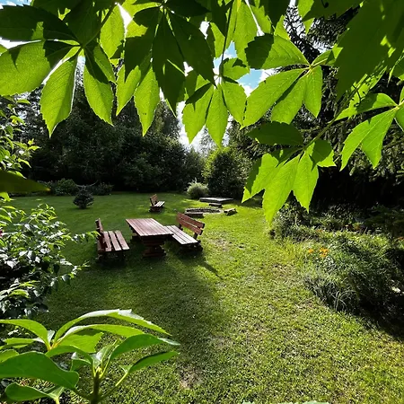 Prázdninový dům Drewniany Dom W Borach Tucholskich 