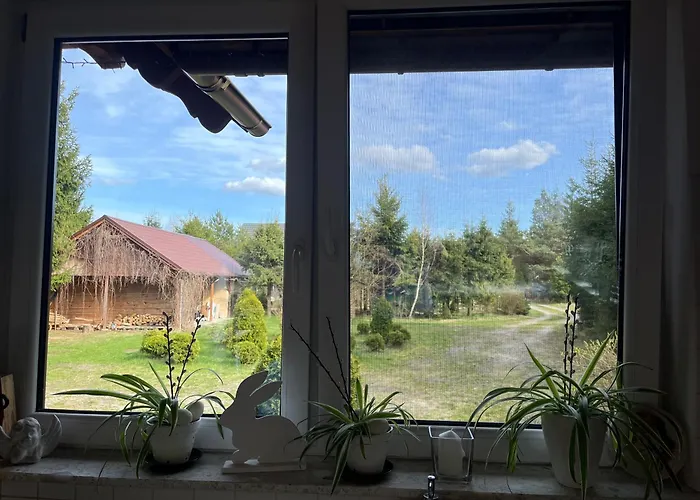 Drewniany Dom W Borach Tucholskich 