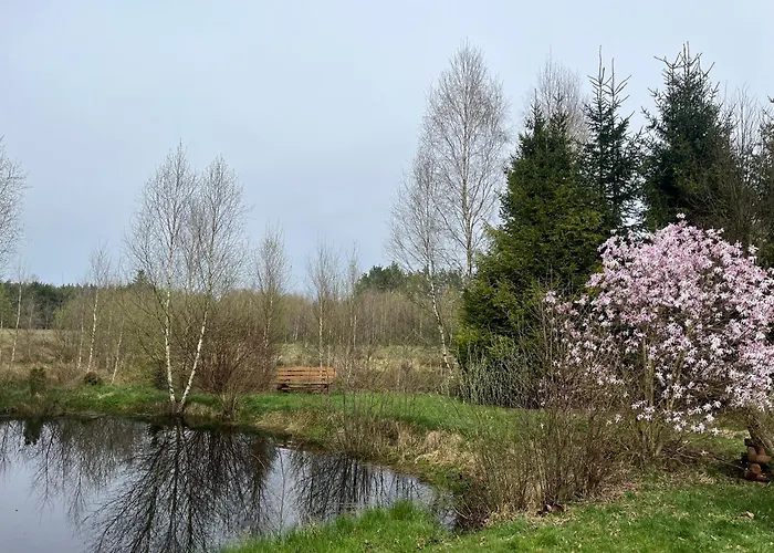 Prázdninový dům Drewniany Dom W Borach Tucholskich 