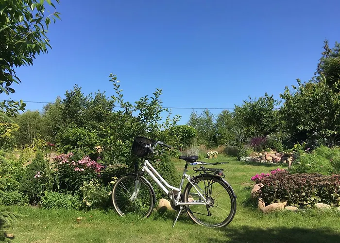 Drewniany Dom W Borach Tucholskich 