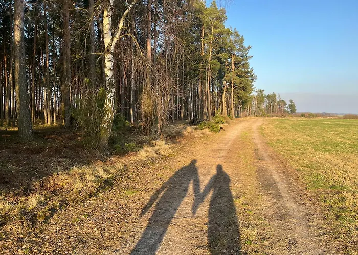 Drewniany Dom W Borach Tucholskich 