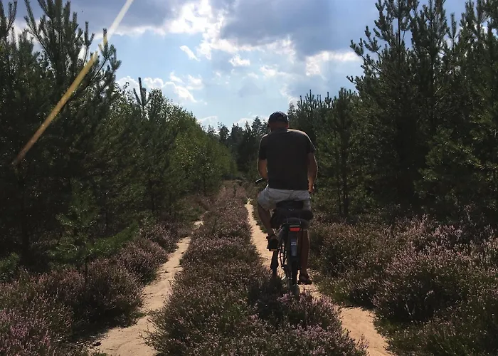 Drewniany Dom W Borach Tucholskich 