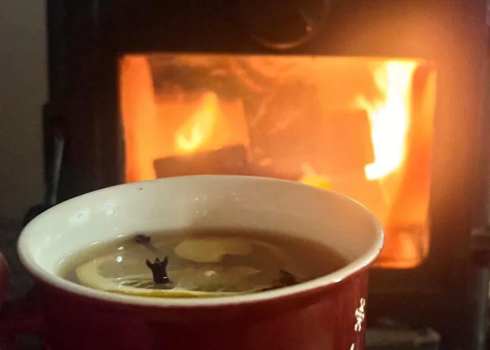 Drewniany Dom W Borach Tucholskich 